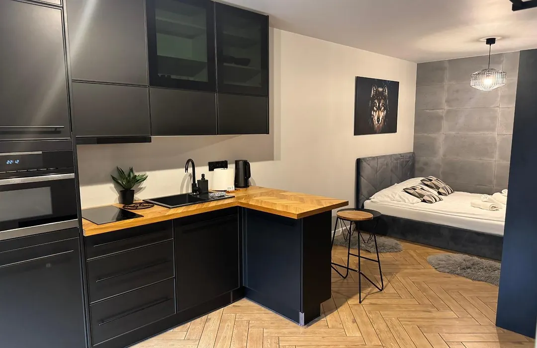 Apartamenty Szary Wilk - klimatyczne apartamenty dla 2 osób - BLISKO CENTRUM -BEZPŁATNY PARKING-1