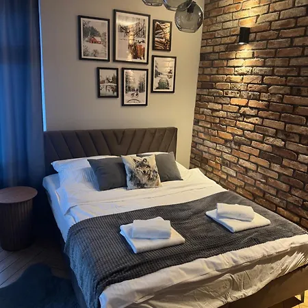 Apartamenty Szary Wilk - klimatyczne apartamenty dla 2 osób - BLISKO CENTRUM -BEZPŁATNY PARKING-2